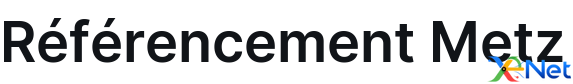 Référencement Metz